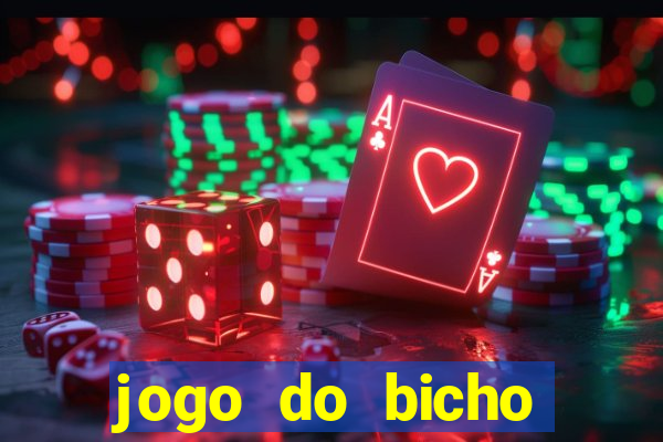 jogo do bicho crash bingo